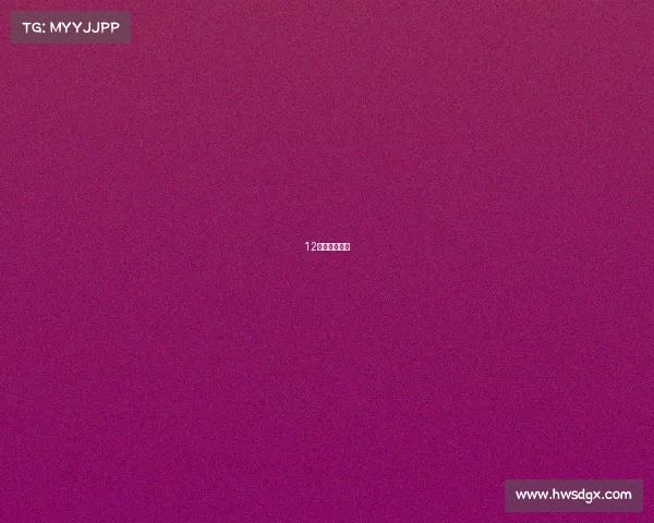 12月深圳锦标赛